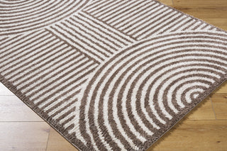 Livabliss Fossay Shag FSG-2331 Machine Washable Area Rug by Surya Corner Shot