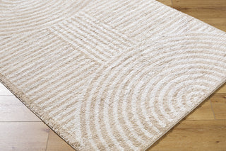 Livabliss Fossay Shag FSG-2332 Machine Washable Area Rug by Surya Corner Shot