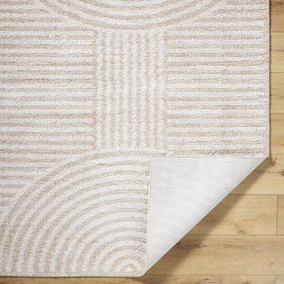 Livabliss Fossay Shag FSG-2332 Machine Washable Area Rug by Surya Pile