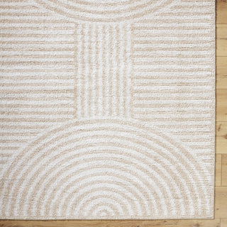 Livabliss Fossay Shag FSG-2332 Machine Washable Area Rug by Surya Detail
