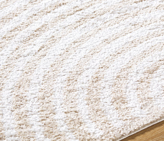 Livabliss Fossay Shag FSG-2332 Machine Washable Area Rug by Surya Detail
