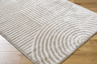 Livabliss Fossay Shag FSG-2335 Machine Washable Area Rug by Surya Corner Shot