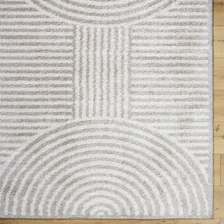 Livabliss Fossay Shag FSG-2335 Machine Washable Area Rug by Surya Detail