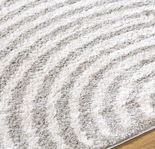 Livabliss Fossay Shag FSG-2335 Machine Washable Area Rug by Surya Detail