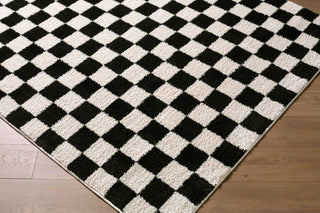 Livabliss Fossay Shag FSG-2347 Machine Washable Area Rug Angle