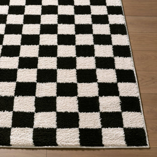 Livabliss Fossay Shag FSG-2347 Machine Washable Area Rug Corner