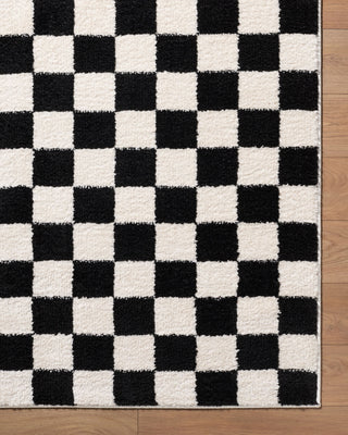 Livabliss Fossay Shag FSG-2347 Machine Washable Area Rug Corner 2
