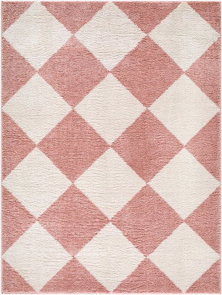 Livabliss Fossay Shag FSG-2355 Machine Washable Area Rug Main