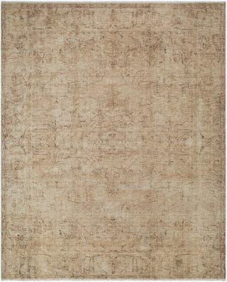 Galey Alix X Livabliss Fetscher GAHU-2300 Light Beige Area Rug Main