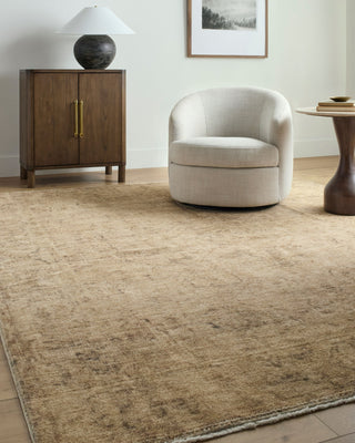 Galey Alix X Livabliss Fetscher GAHU-2300 Light Beige Area Rug Room Scene