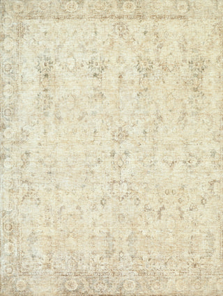 Galey Alix X Livabliss Fetscher GAHU-2301 Area Rug main image