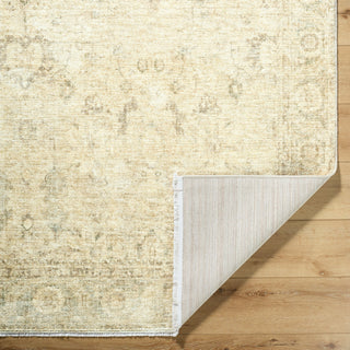 Galey Alix X Livabliss Fetscher GAHU-2301 Area Rug Pile