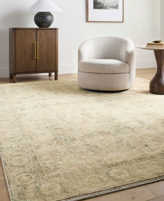 Galey Alix X Livabliss Fetscher GAHU-2301 Area Rug Room Scene Feature
