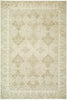 Galey Alix X Livabliss Fetscher GAHU-2303 Olive Area Rug main image