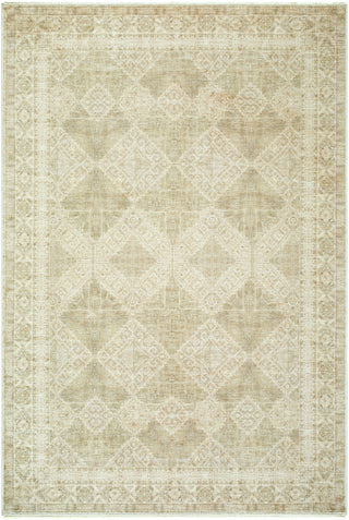 Galey Alix X Livabliss Fetscher GAHU-2303 Olive Area Rug main image