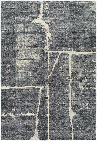 Galey Alix X Livabliss Janek GAJA-2302 Charcoal Area Rug main image