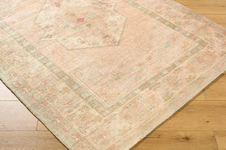 Galey Alix X Livabliss Luciana GALU-2301 Sage Area Rug Corner Shot