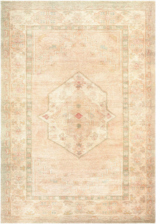 Galey Alix X Livabliss Luciana GALU-2301 Sage Area Rug main image