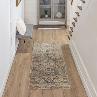 Karastan Echo Gamin Grey Area Rug 