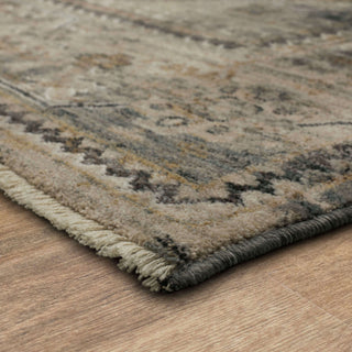 Karastan Echo Gamin Grey Area Rug Angle Image