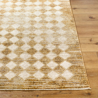 Surya Amasya AMY-2304 Area Rug Angle