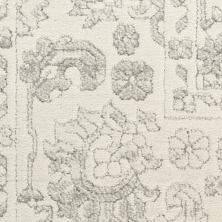 Nourison Grace GCE01 Grey Area Rug Swatch Image