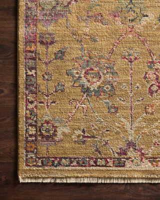 Loloi Giada GIA-05 Gold / Multi Area Rug