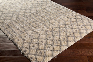 Surya Gibraltar GIB-2308 Area Rug Corner Shot