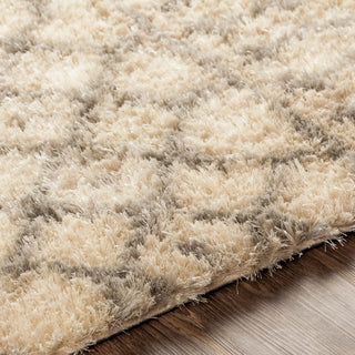 Surya Gibraltar GIB-2308 Area Rug Detail