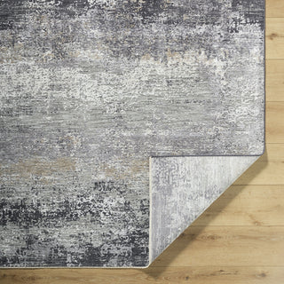 Livabliss Gakko GKK-2305 Medium Gray Area Rug Pile