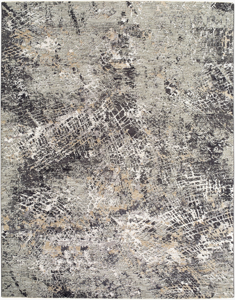 Livabliss Gakko GKK-2310 Medium Gray Area Rug main image