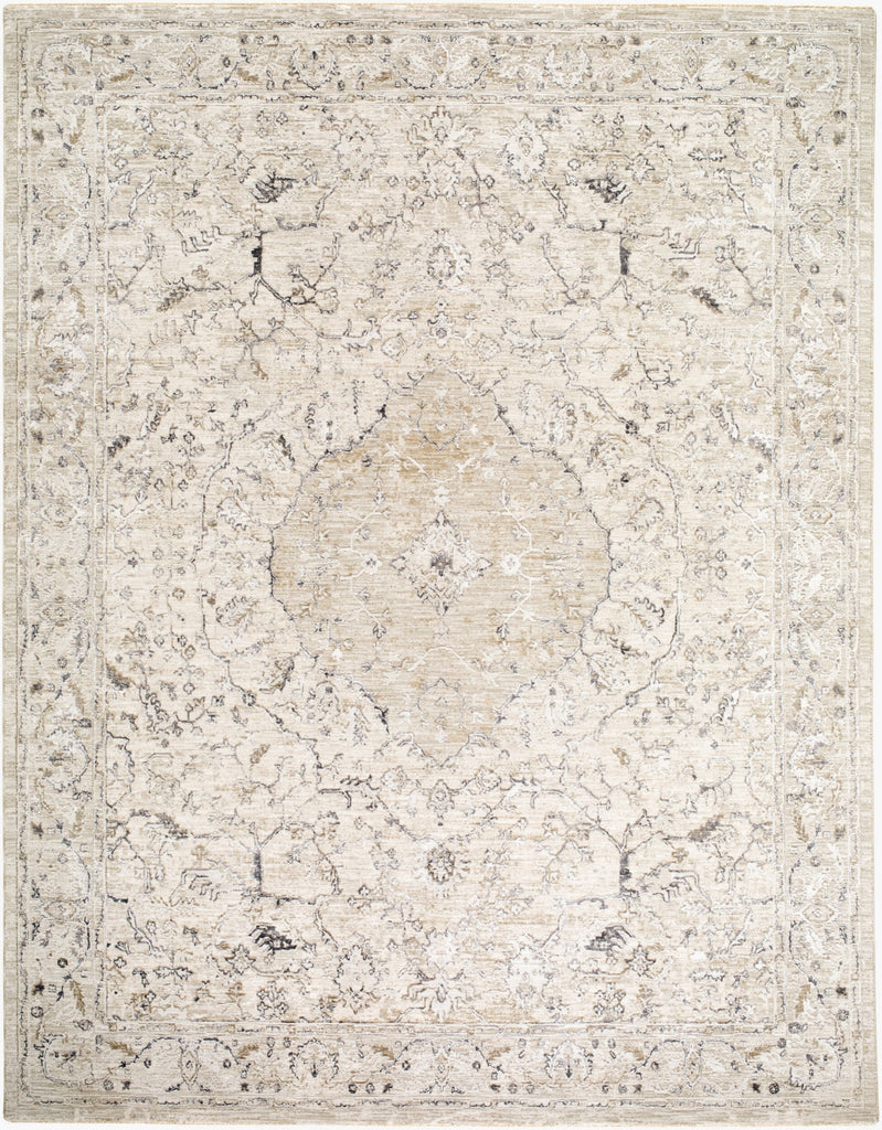 Livabliss Gakko GKK-2312 Charcoal Area Rug main image
