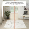 Nourison Glam GLM04 Ivory/Multi Area Rug Room Image Feature