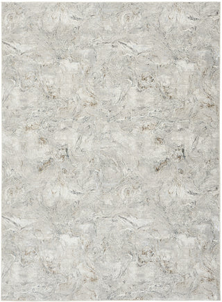Nourison Glam GLM20 Grey Multicolor Area Rug Main Image