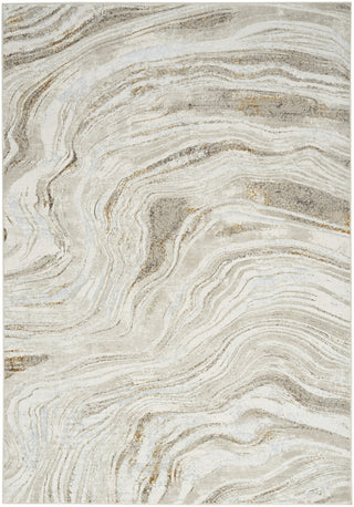 Nourison Glam GLM22 Grey Gold Area Rug main image
