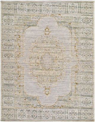 Livabliss Goblen GLN-2303 Area Rug main image