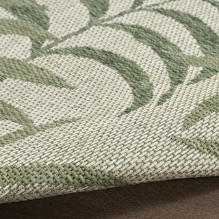 Nourison Garden Oasis GOA01 Ivory Green Area Rug 