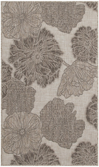 Nourison Garden Oasis GOA04 Natural Area Rug main image