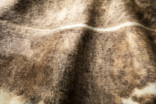 Loloi Grand Canyon GC-01 Camel / Beige Area Rug Lifestyle Image Feature