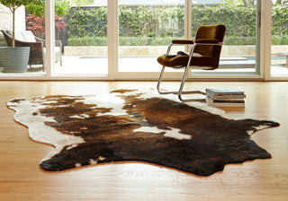 Loloi Grand Canyon GC-05 Beige / Brown Area Rug Main Image