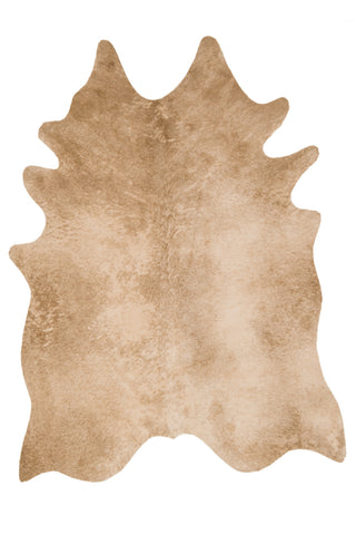 Loloi Grand Canyon GC-09 Tan Area Rug main image