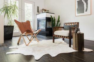 Loloi Grand Canyon GC-10 Ivory Area Rug Main Image