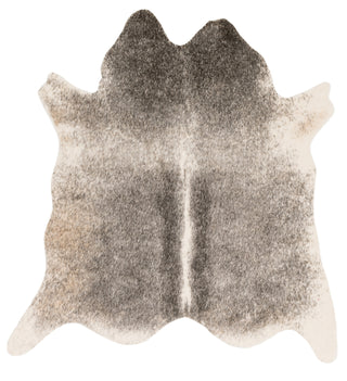 Loloi Grand Canyon GC-11 Grey / Ivory Area Rug main image