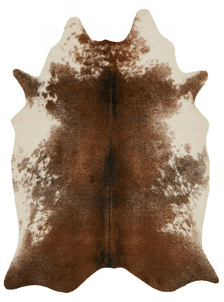 Loloi Grand Canyon GC-14 Coffee/Ivory Area Rug main image