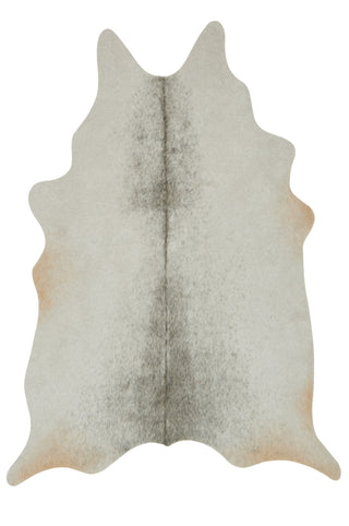 Loloi Grand Canyon GC-15 Silver/Grey Area Rug main image