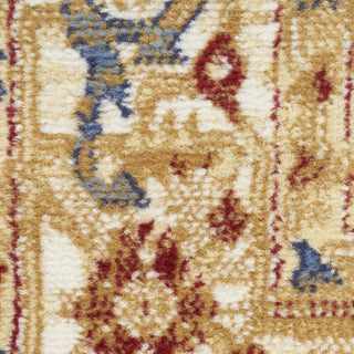 Nourison Grafix GRF43 Navy Gold Area Rug Swatch Image