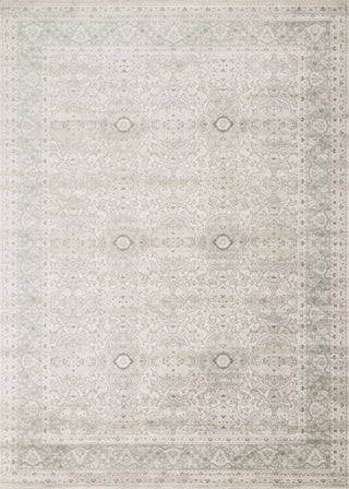 Loloi Griffin GF-07 Mist Area Rug Main Image