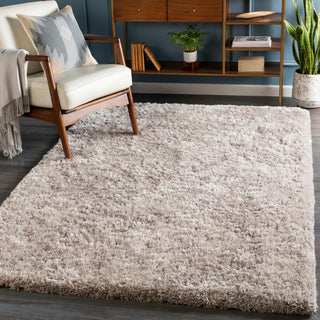Surya Grizzly GRIZZLY-10 Area Rug Room Scene Feature