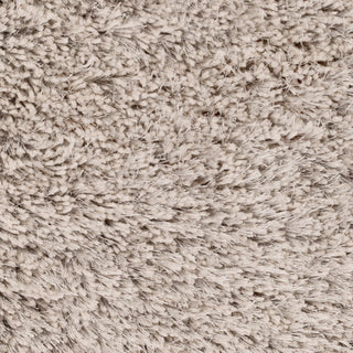 Surya Grizzly GRIZZLY-10 Area Rug Swatch