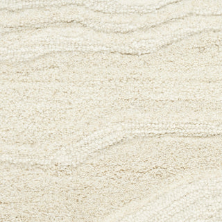 Nourison Graceful GRU01 Ivory Area Rug Close Up